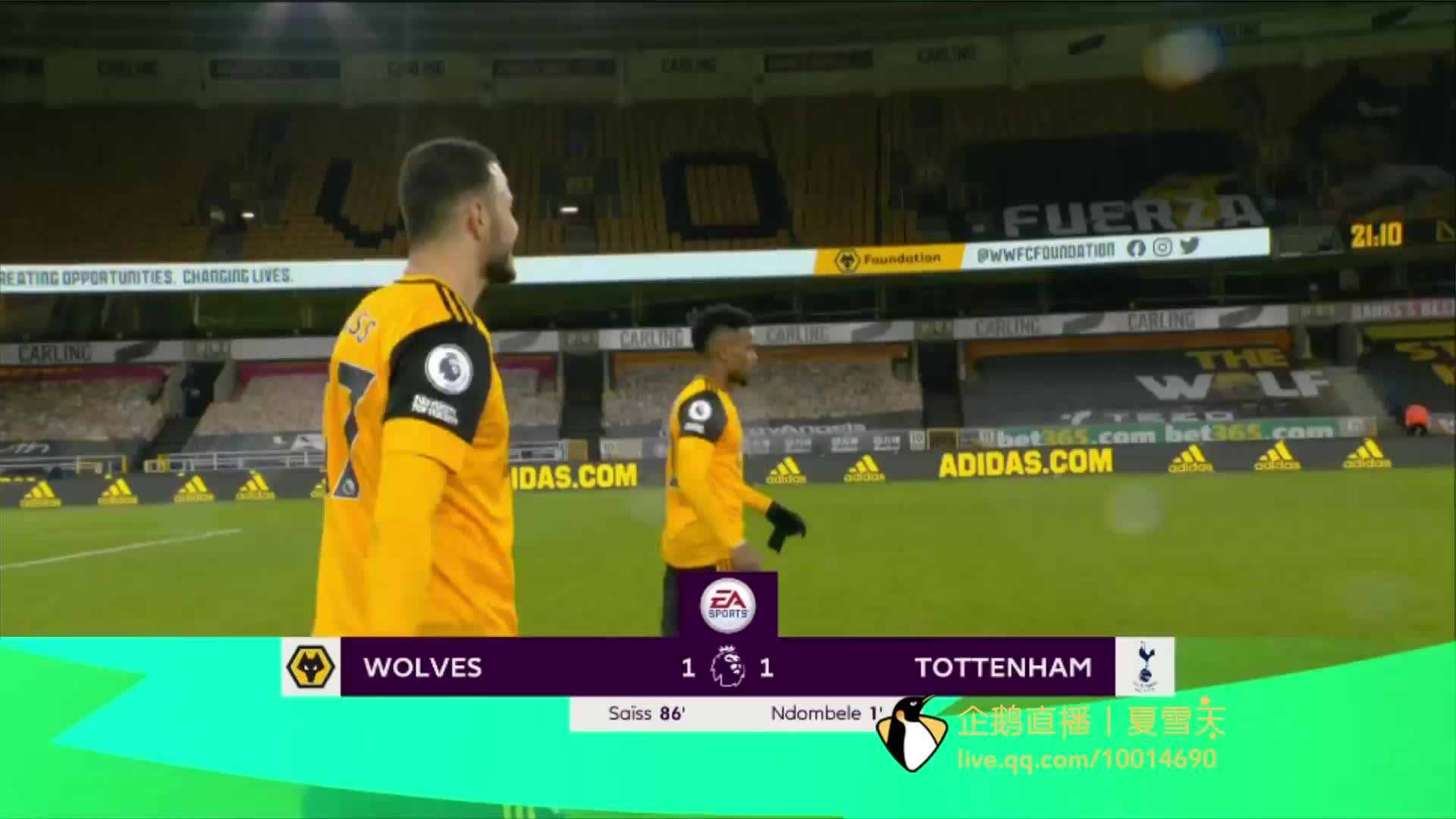 身体机能的 身体机能的