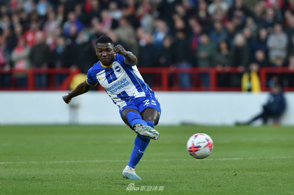 女单格局与 女单格局与